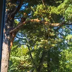 Lejlighed Apartamentai Prie Birutes Parko *