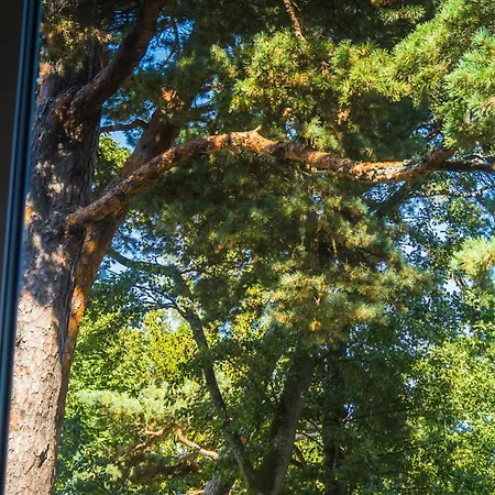 Lägenhet Apartamentai Prie Birutes Parko *