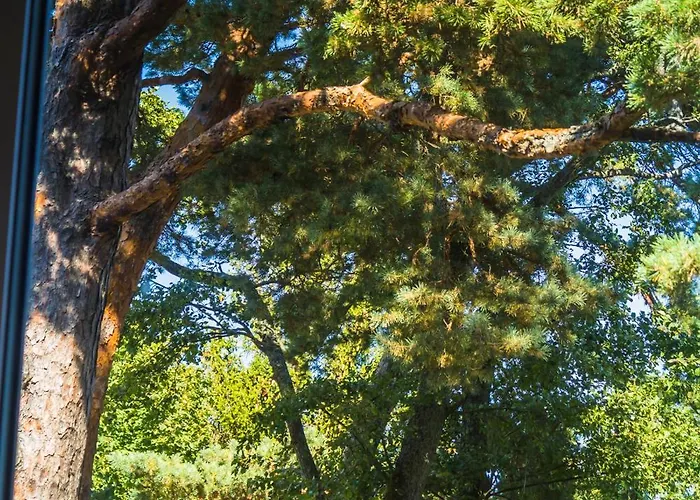 Apartmán Apartamentai Prie Birutes Parko *