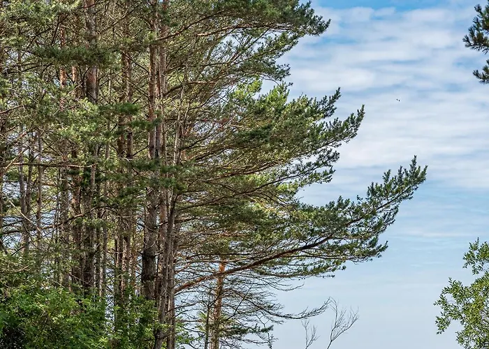 Apartamentai Prie Birutes Parko דירה